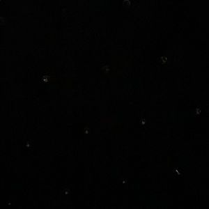 Shipping label for Monette